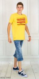 Spodenki jasne Jeans męskie TTN Blue Moda Sanok